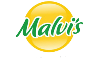 malvis-logo